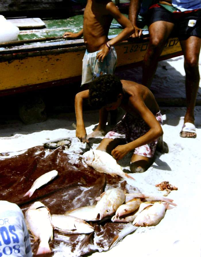 A boy cleaning fish on the sand.